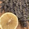 Rodaja de cítrico y lavanda: fuentes de limoneno y linalool.